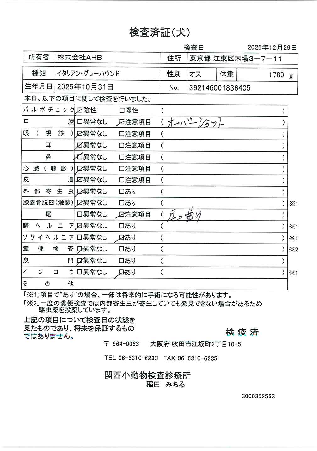 イタリアン・グレーハウンド
