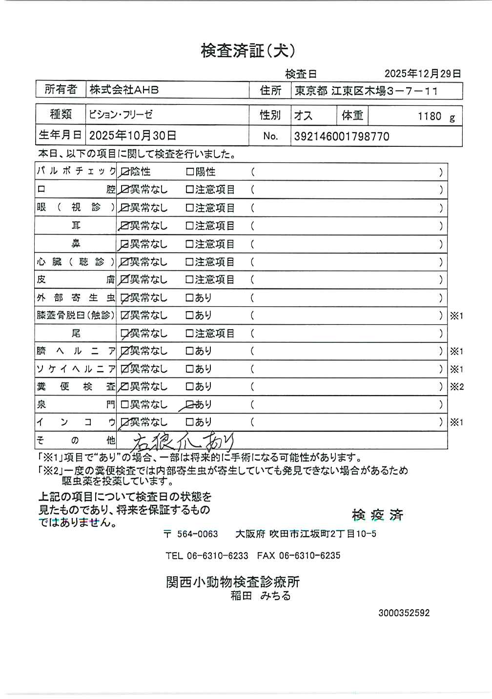 ビション・フリーゼ