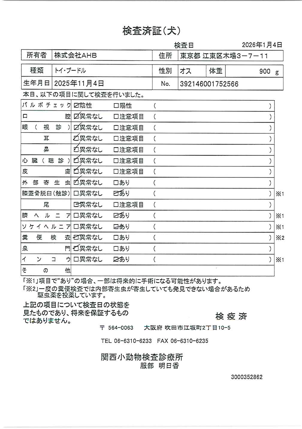 トイ・プードル