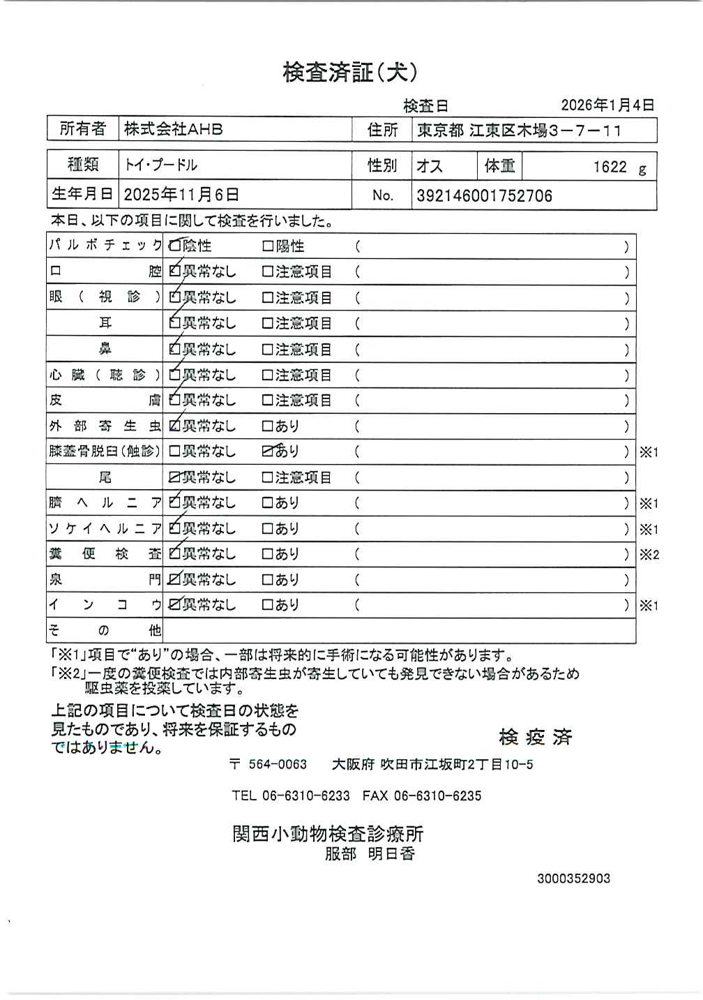 トイ・プードル