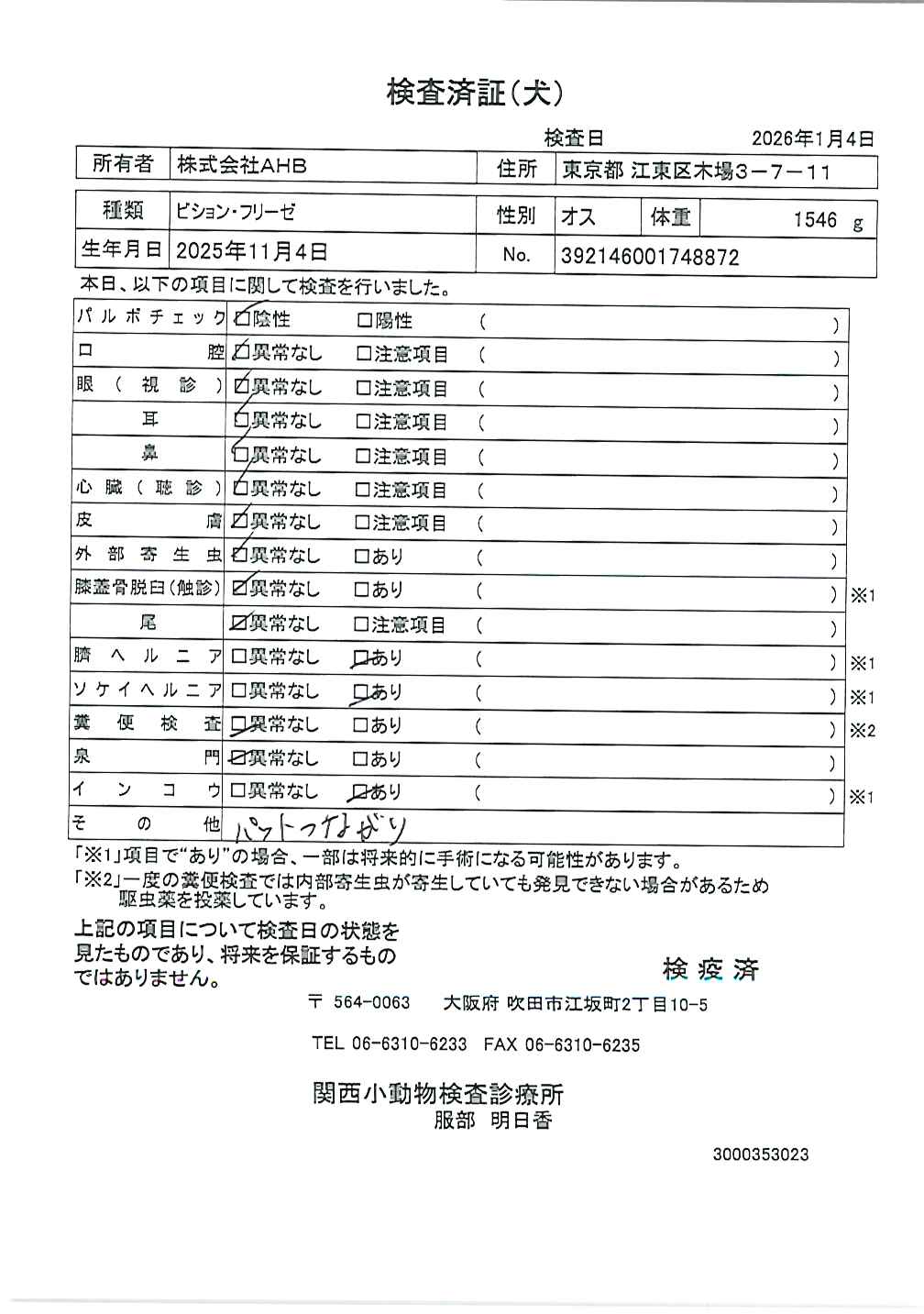 ビション・フリーゼ