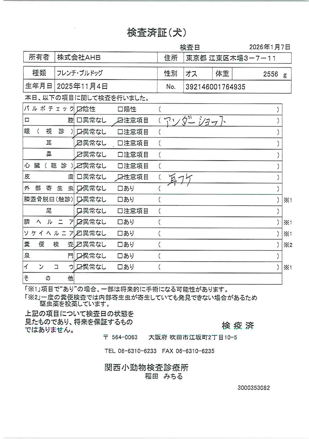 フレンチ・ブルドッグ