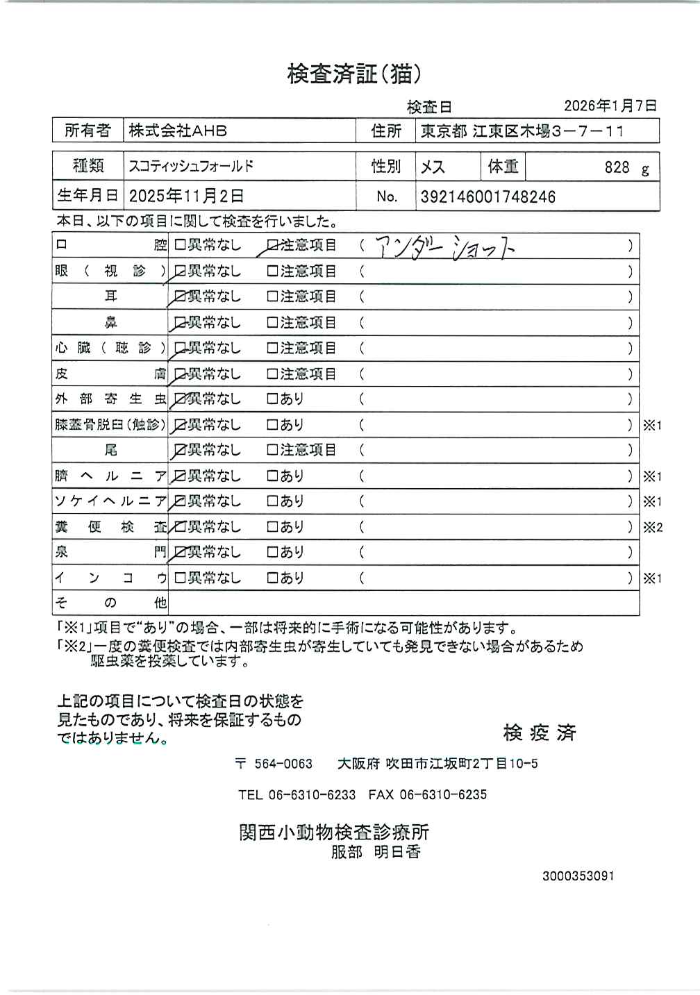 スコティッシュフォールド