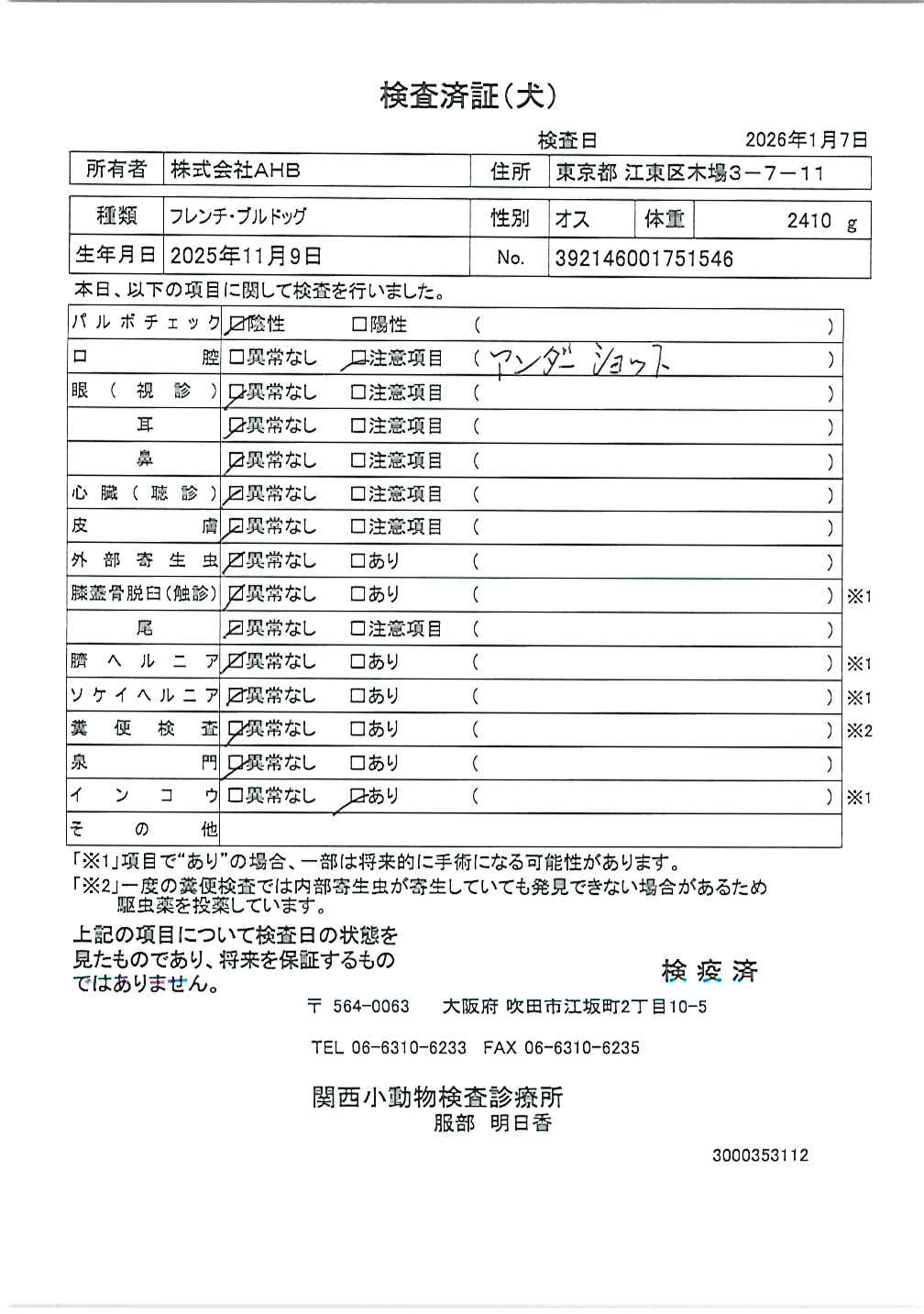 フレンチ・ブルドッグ