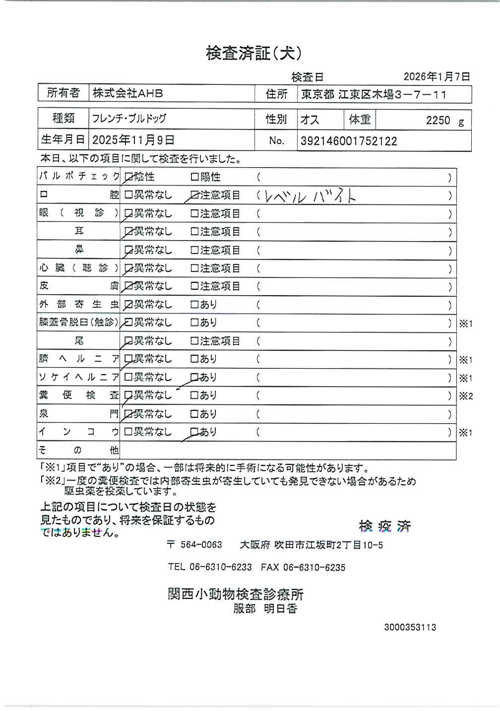 フレンチ・ブルドッグ