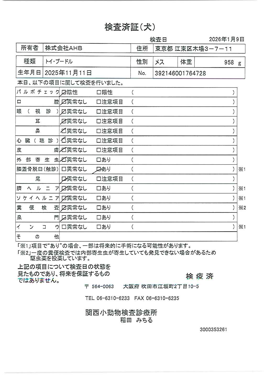 トイ・プードル