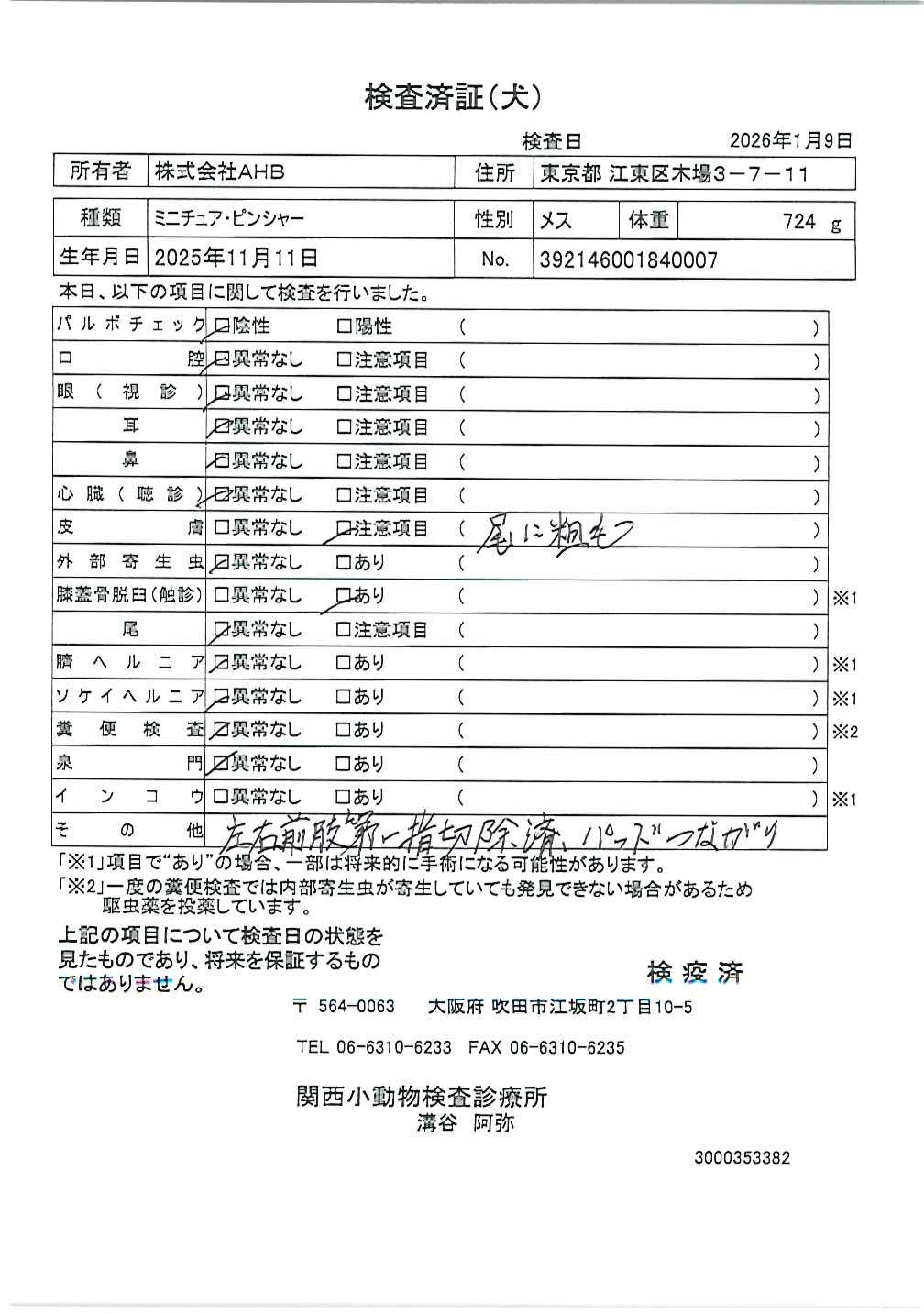 ミニチュア・ピンシャー