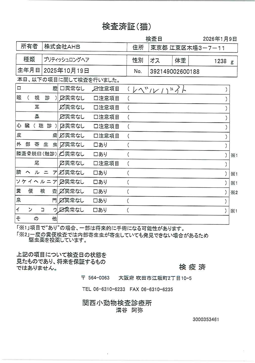 ブリティッシュロングヘア