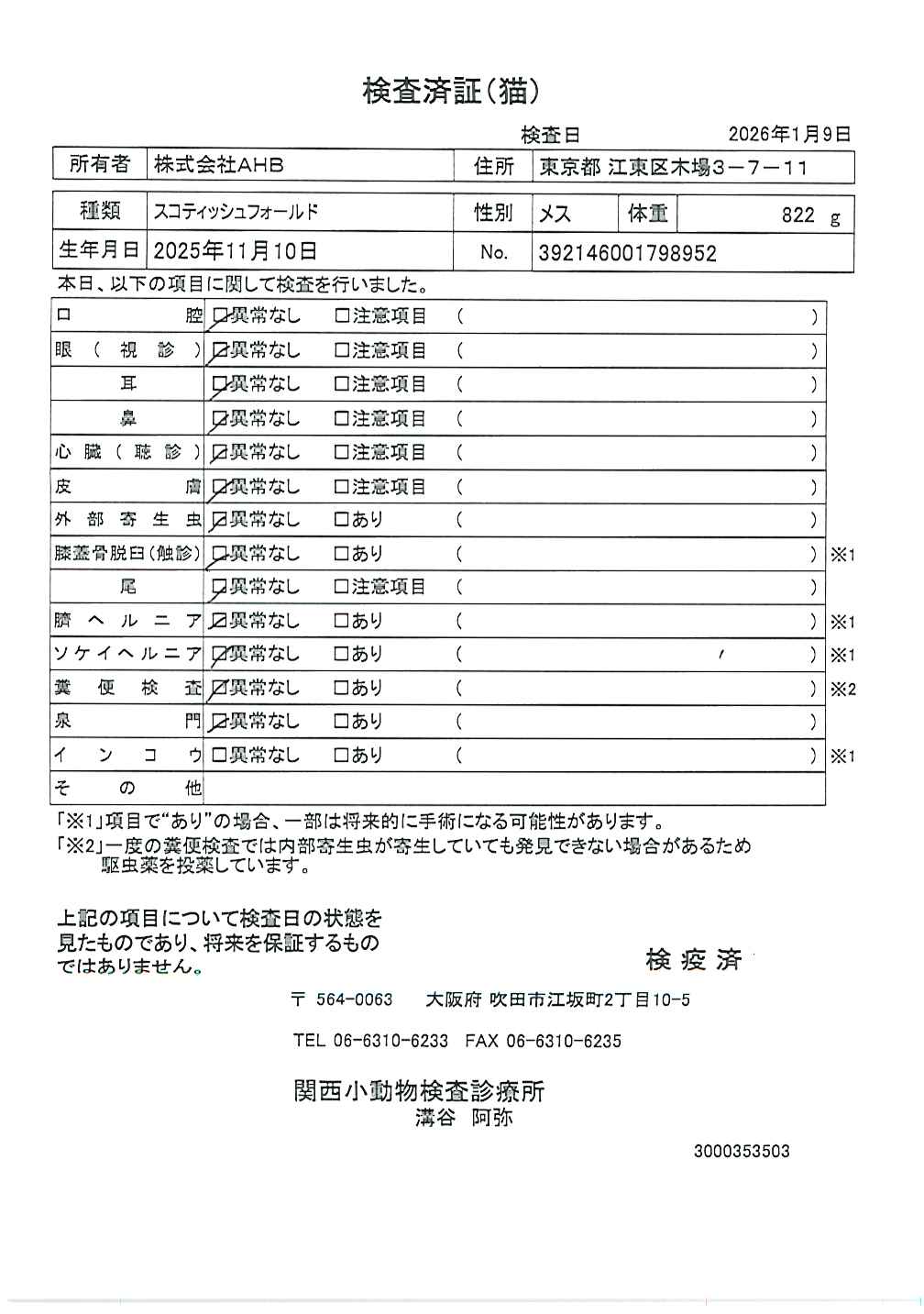 スコティッシュフォールド
