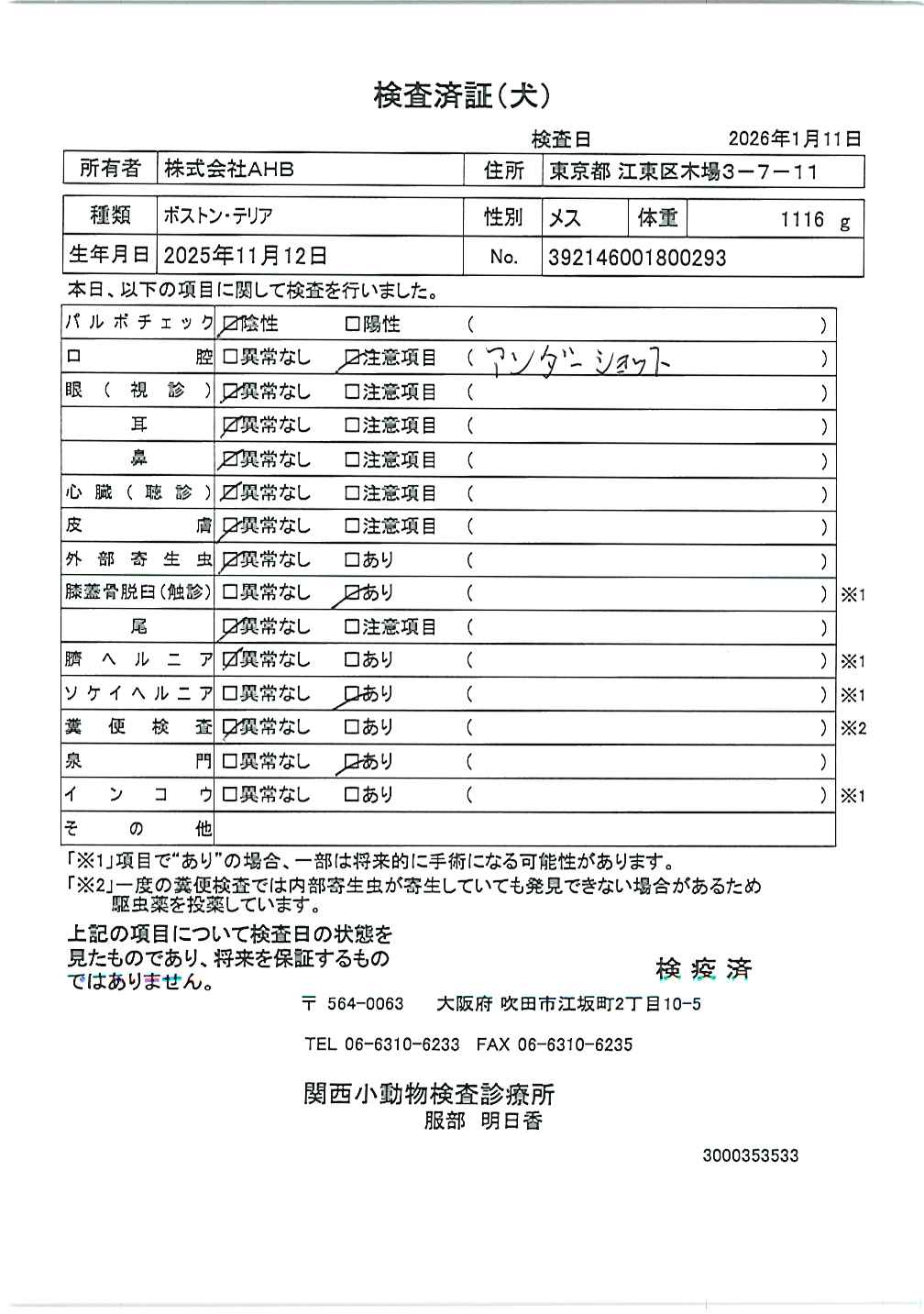 ボストン・テリア