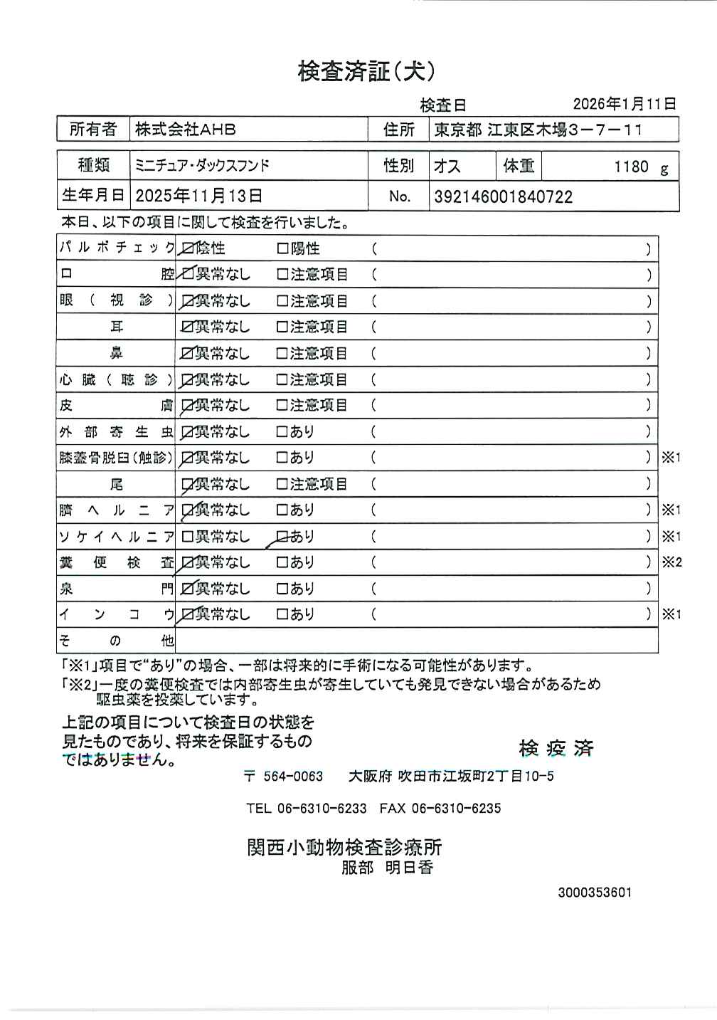 ミニチュア・ダックスフンド