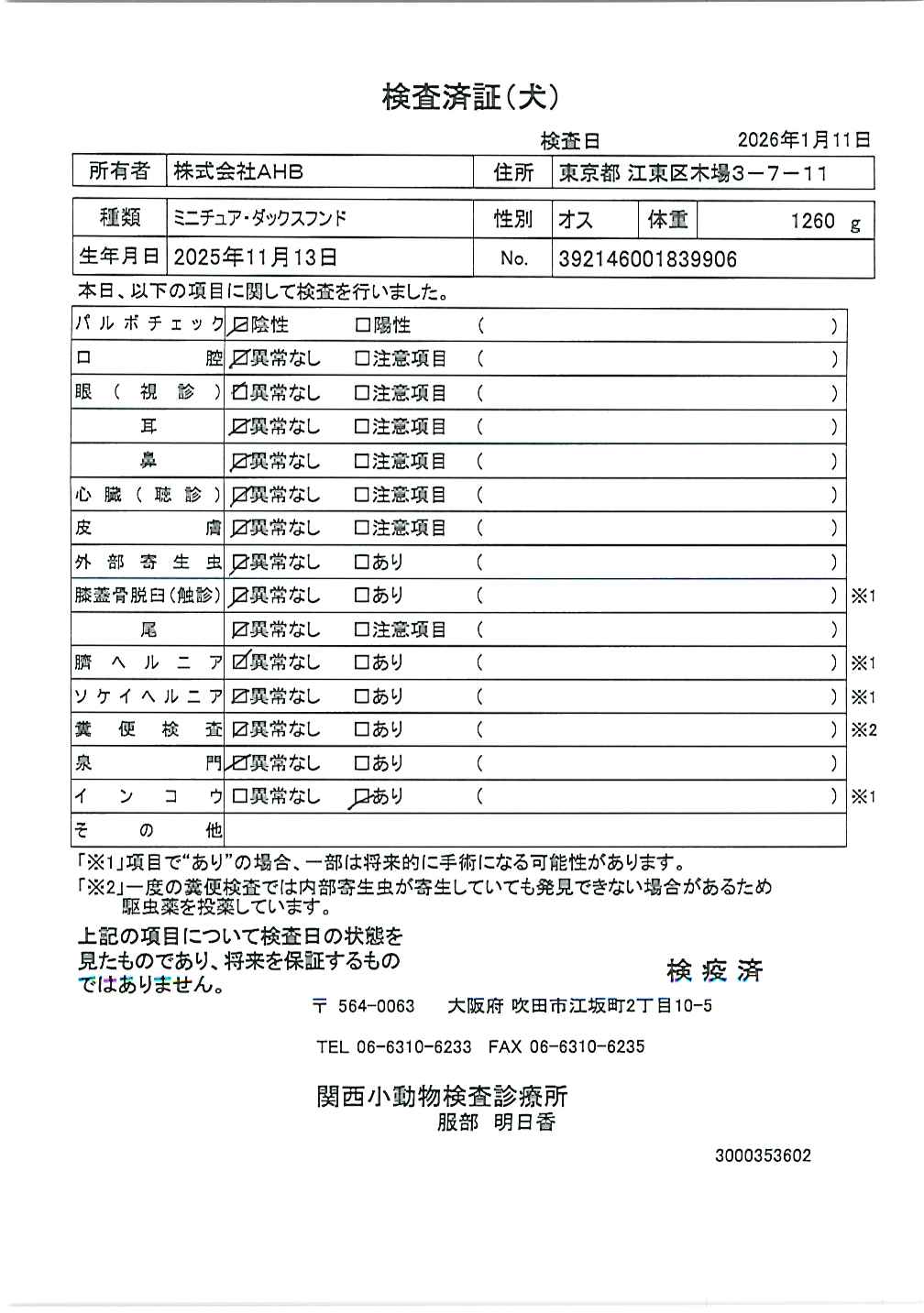 ミニチュア・ダックスフンド