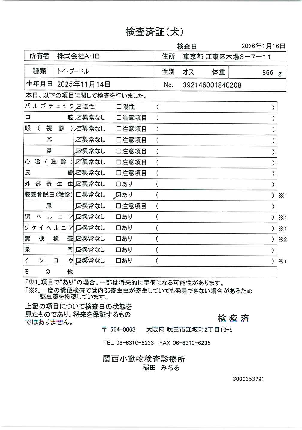 トイ・プードル