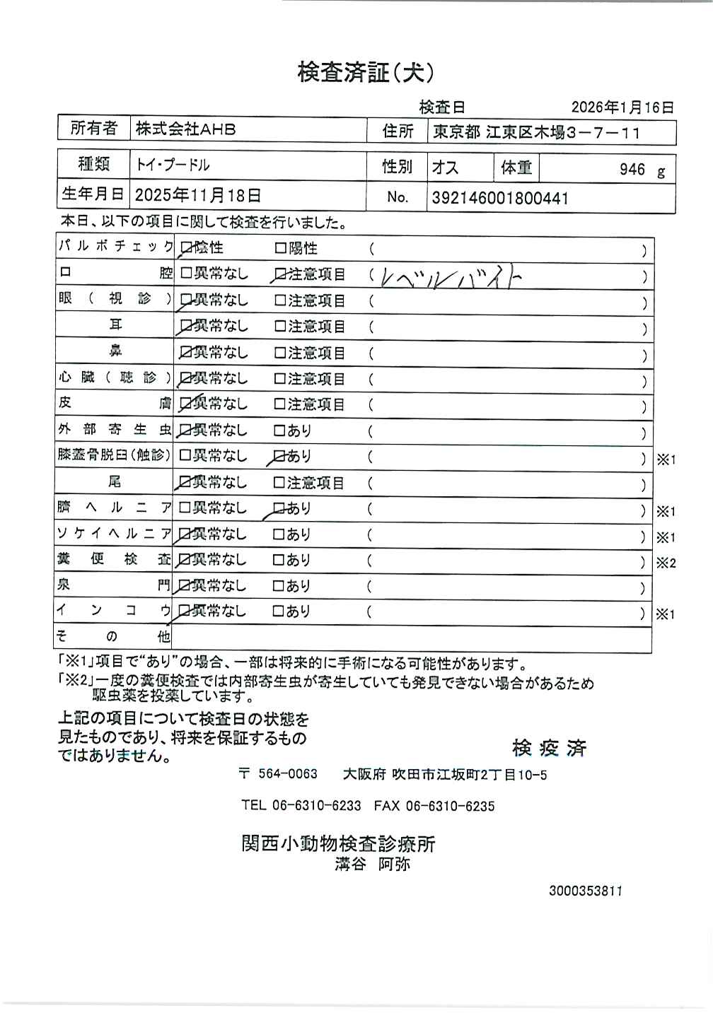 トイ・プードル