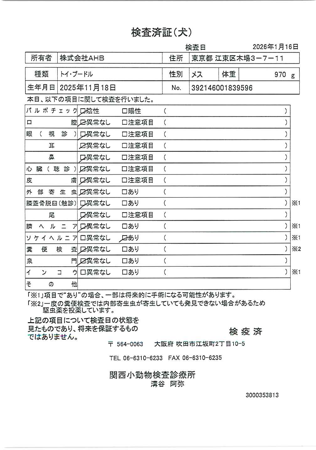 トイ・プードル