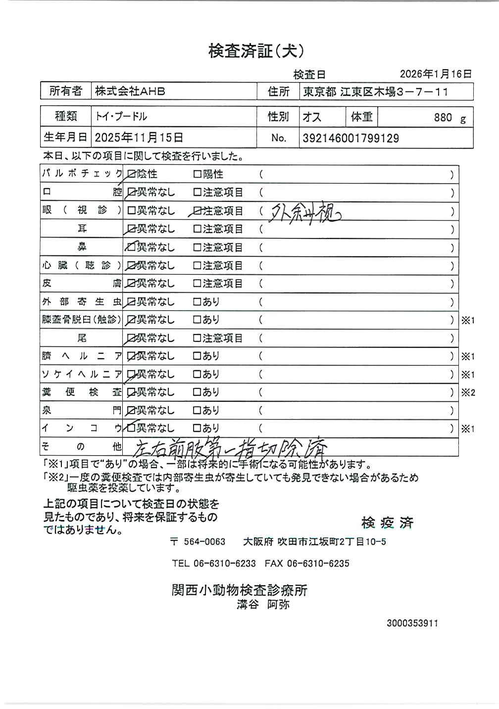 トイ・プードル
