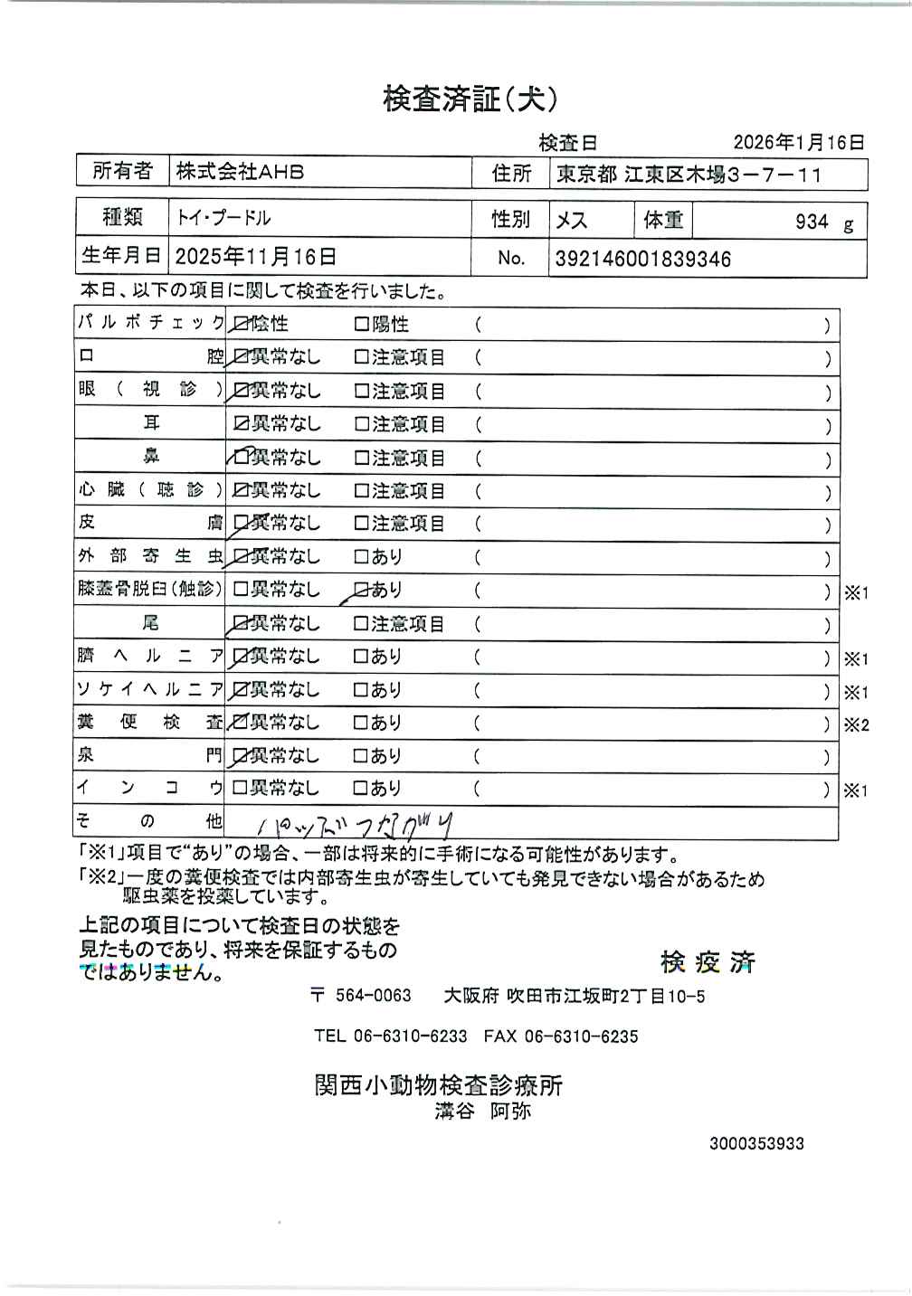 トイ・プードル