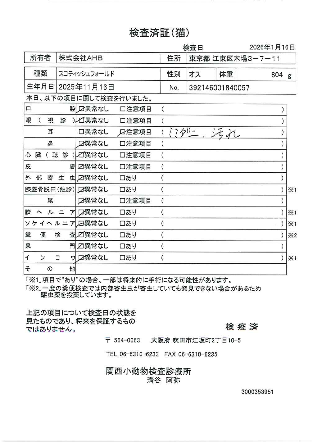 スコティッシュフォールド