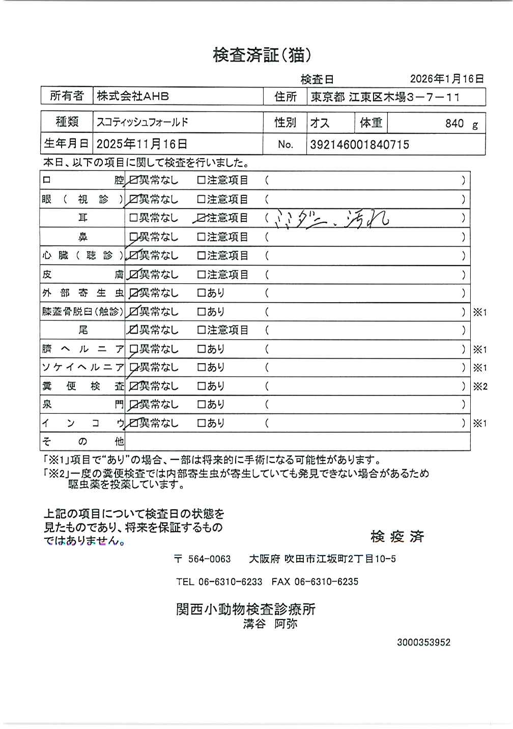 スコティッシュフォールド