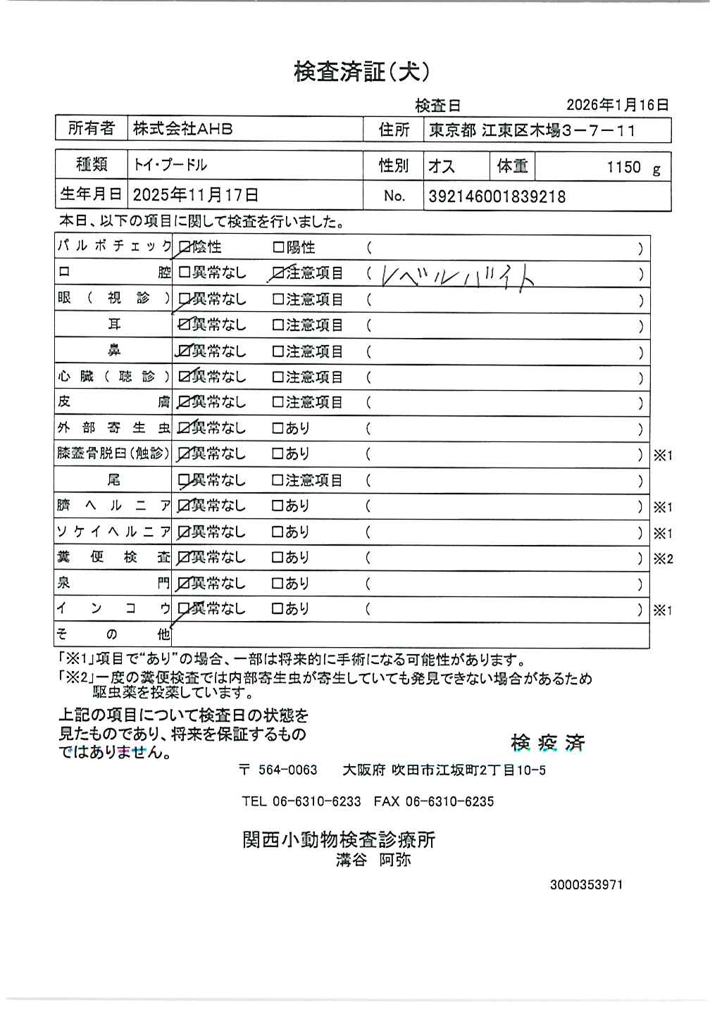トイ・プードル