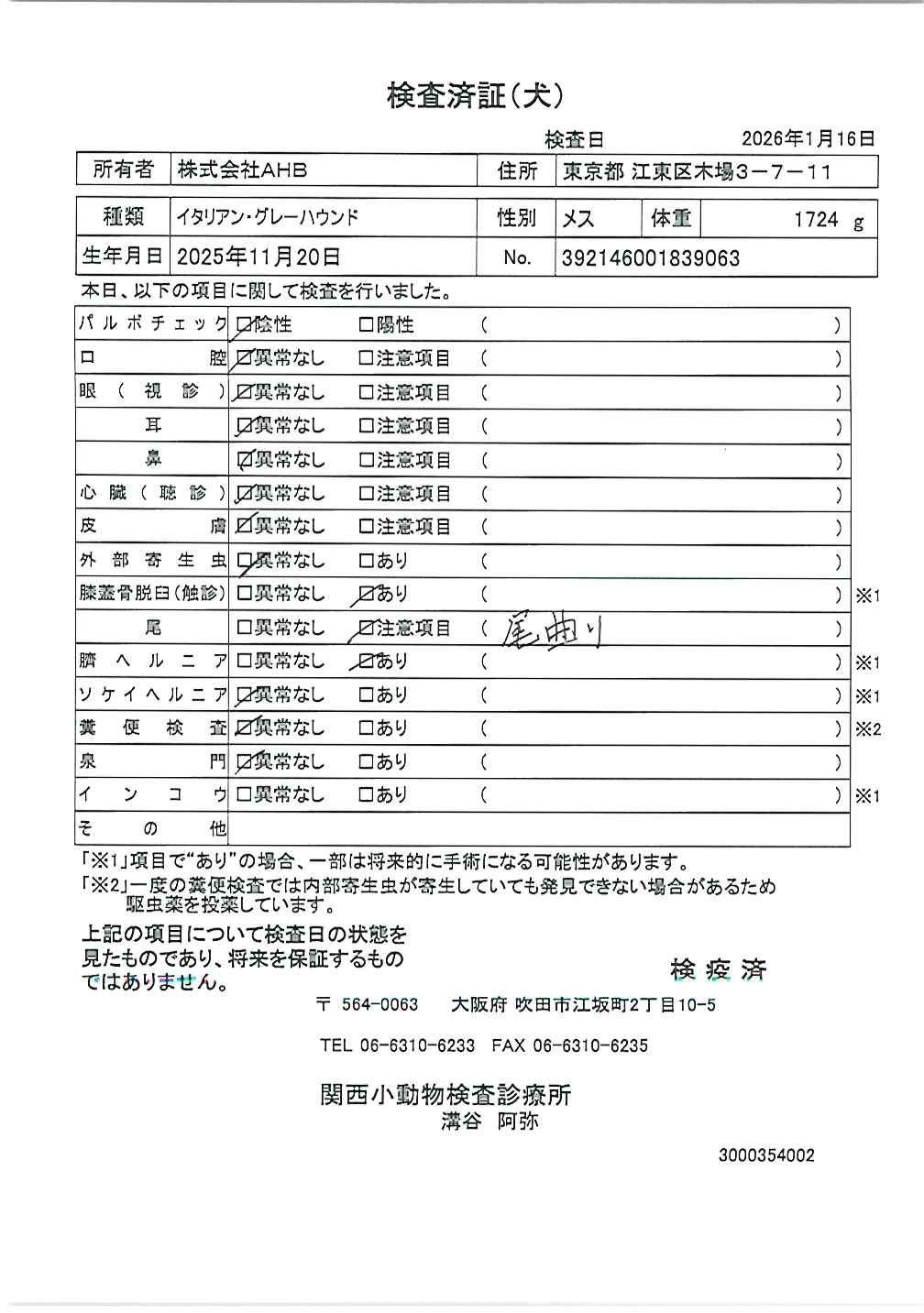 イタリアン・グレーハウンド