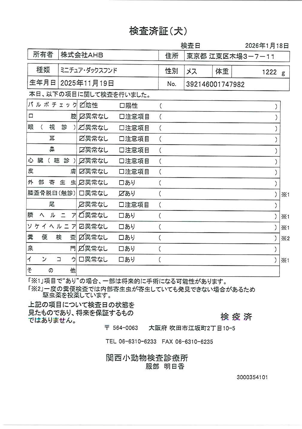 ミニチュア・ダックスフンド