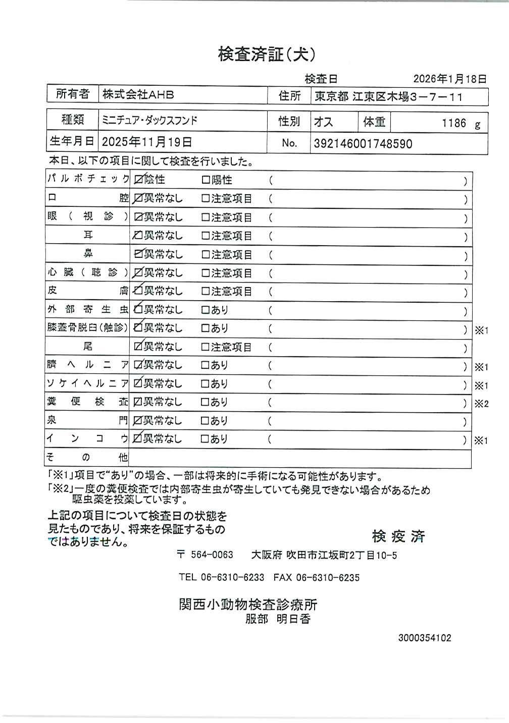 ミニチュア・ダックスフンド