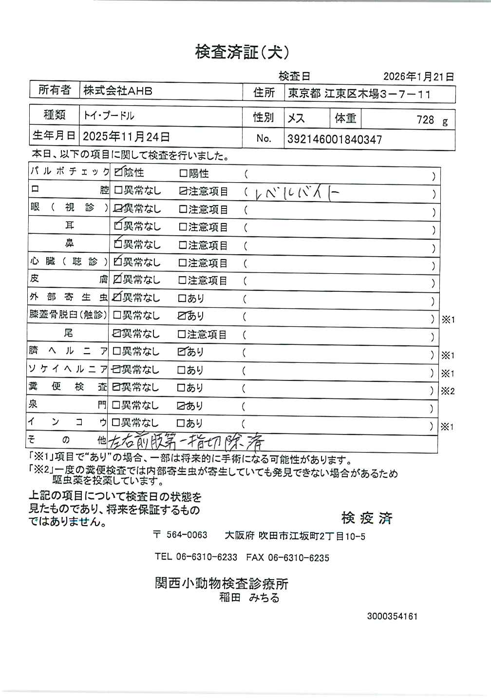 トイ・プードル