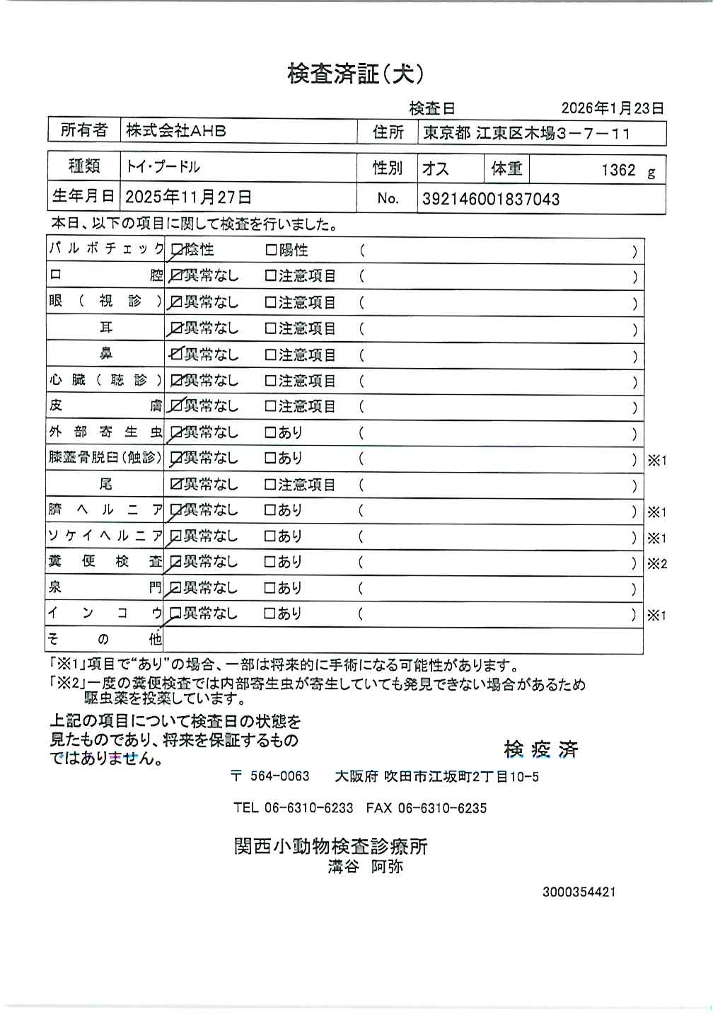 トイ・プードル