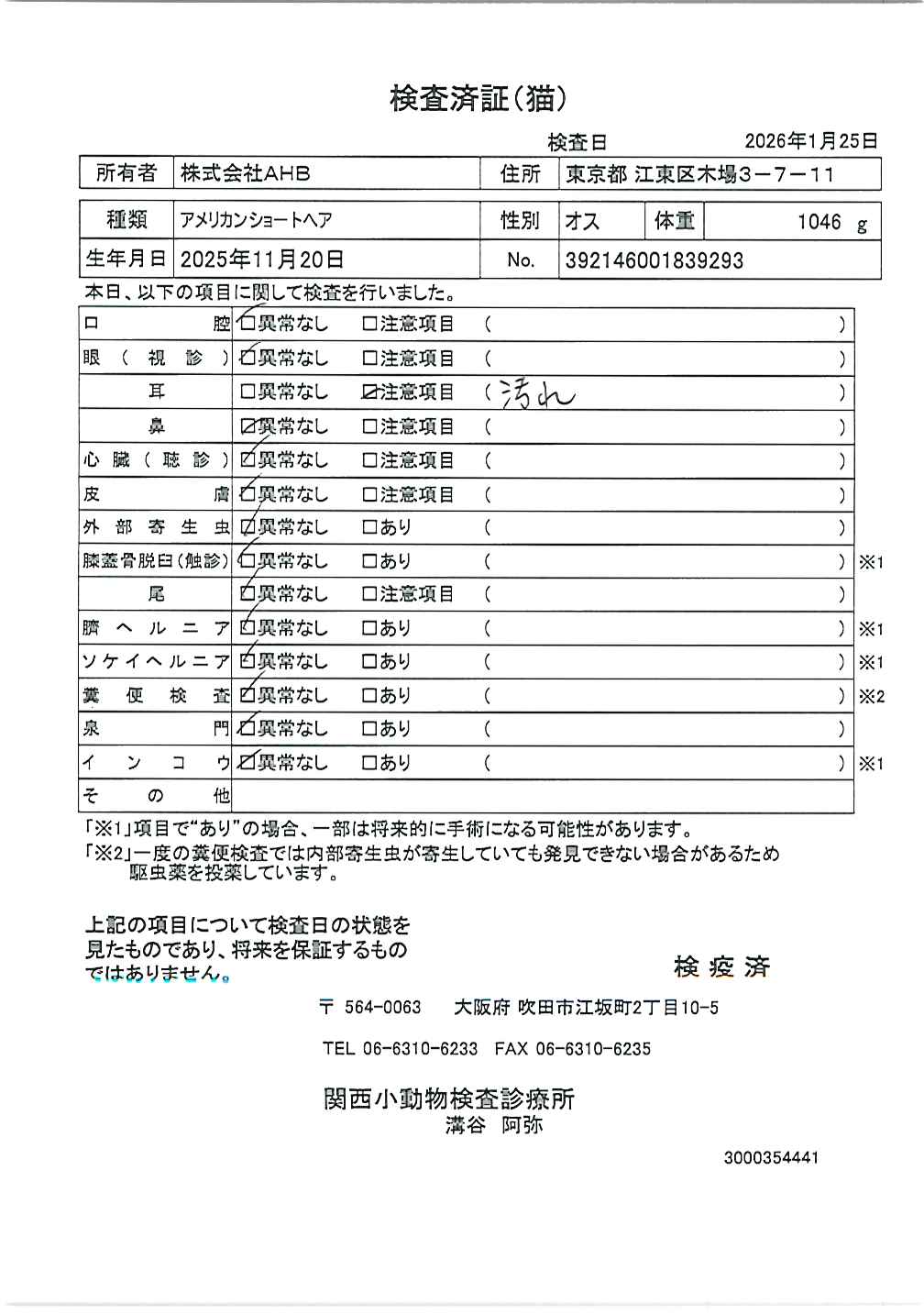 アメリカンショートヘア