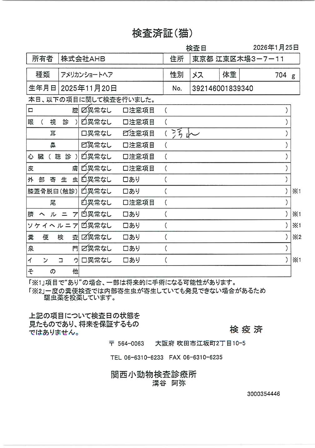 アメリカンショートヘア