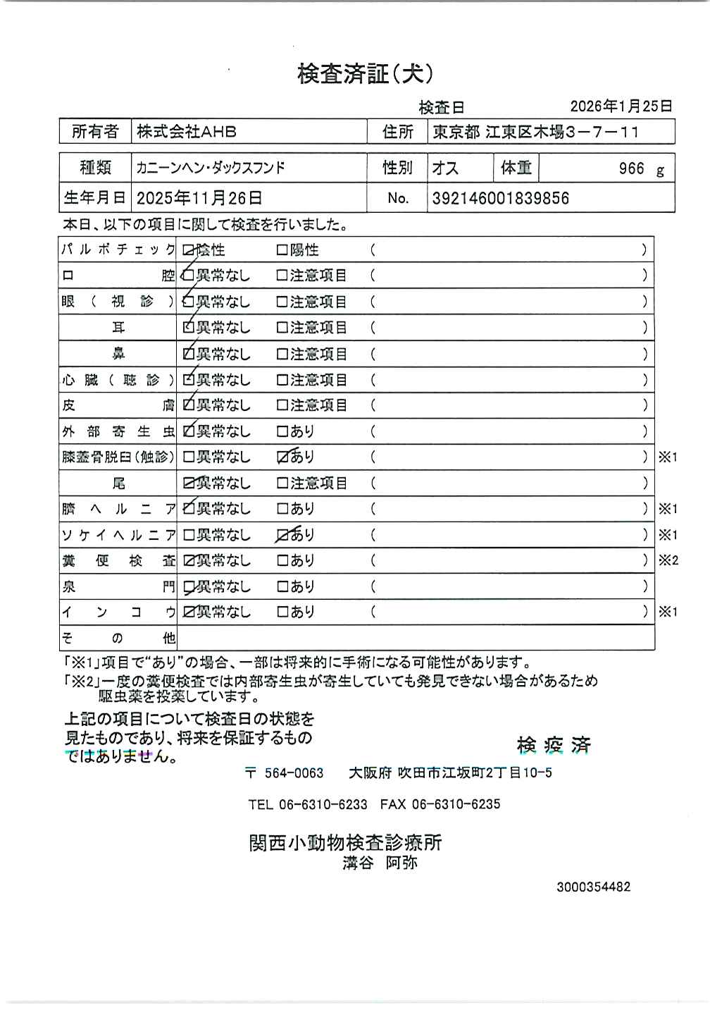 カニーンヘン・ダックスフンド