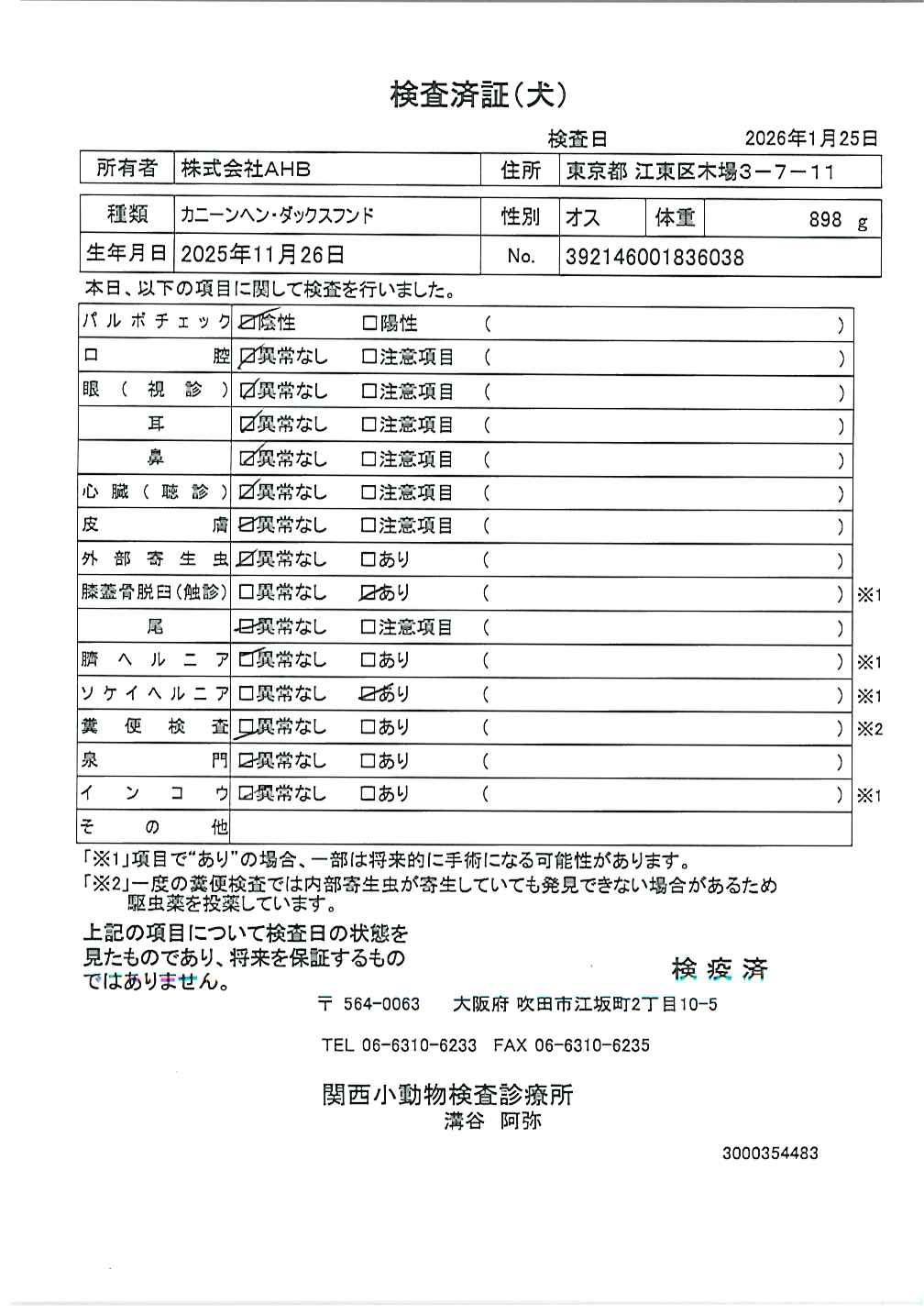 カニーンヘン・ダックスフンド