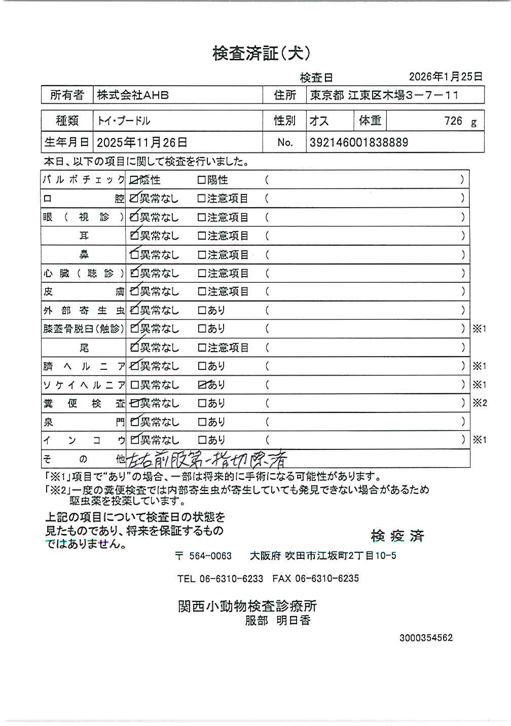 トイ・プードル