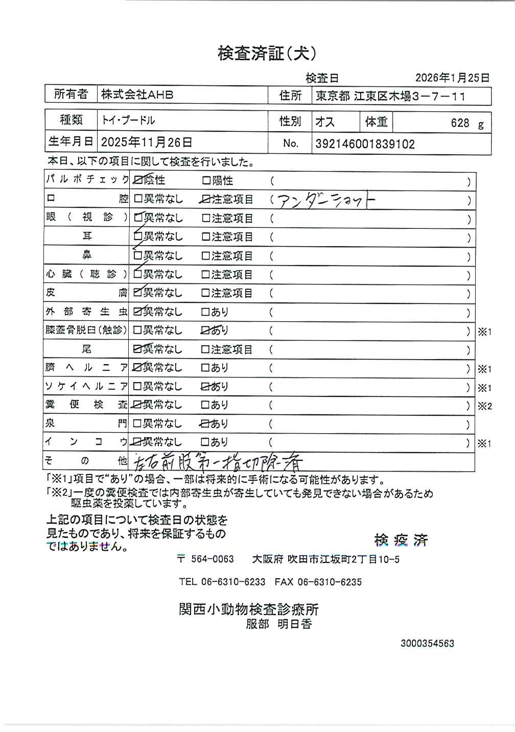 トイ・プードル