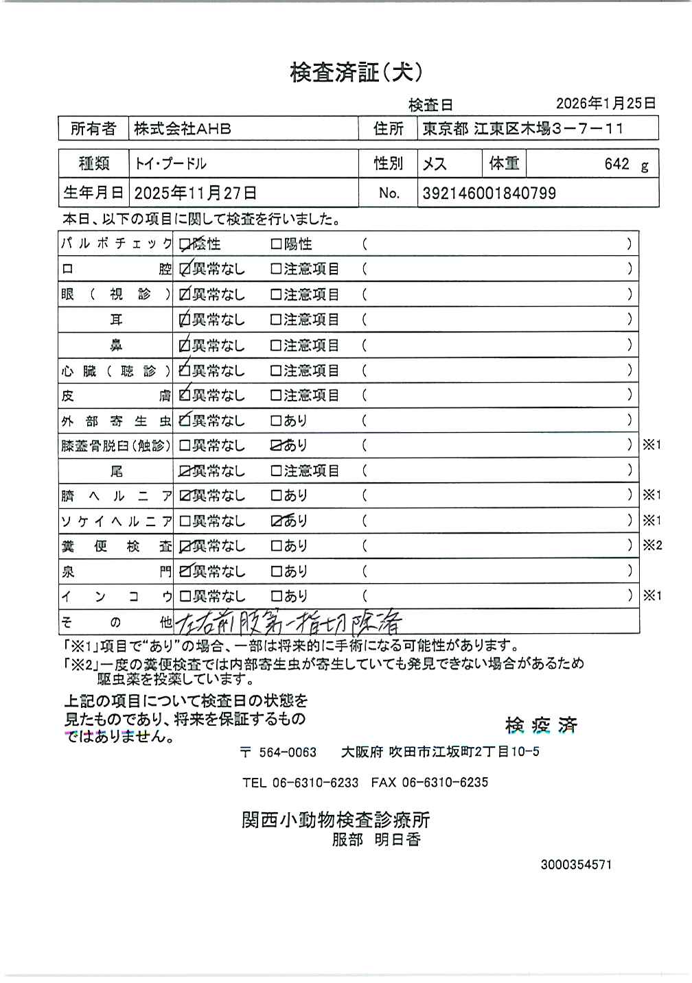 トイ・プードル