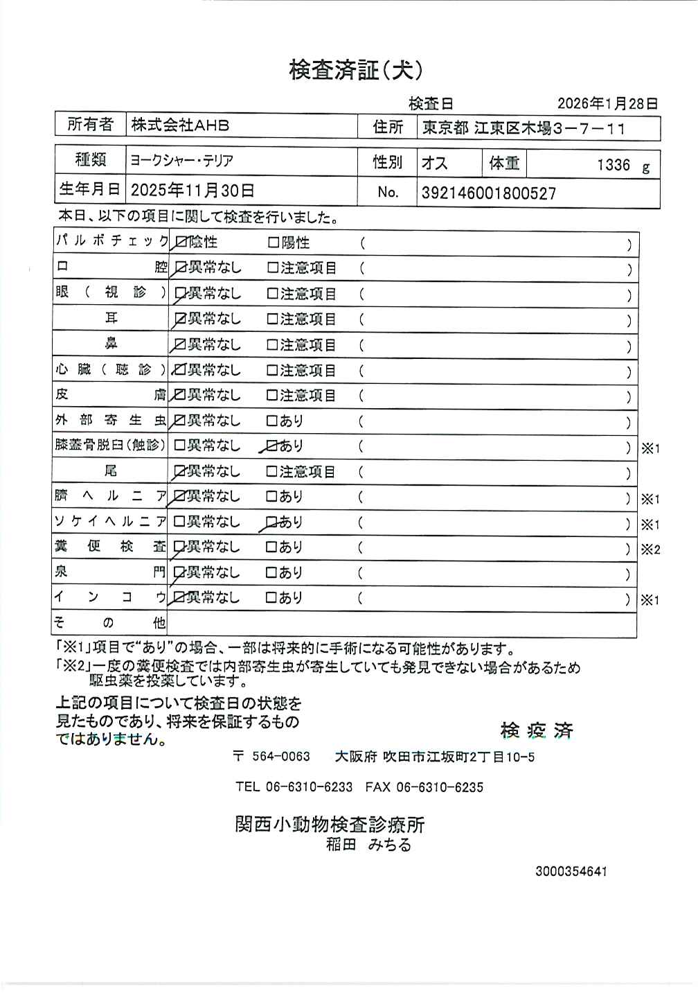 ヨークシャー・テリア
