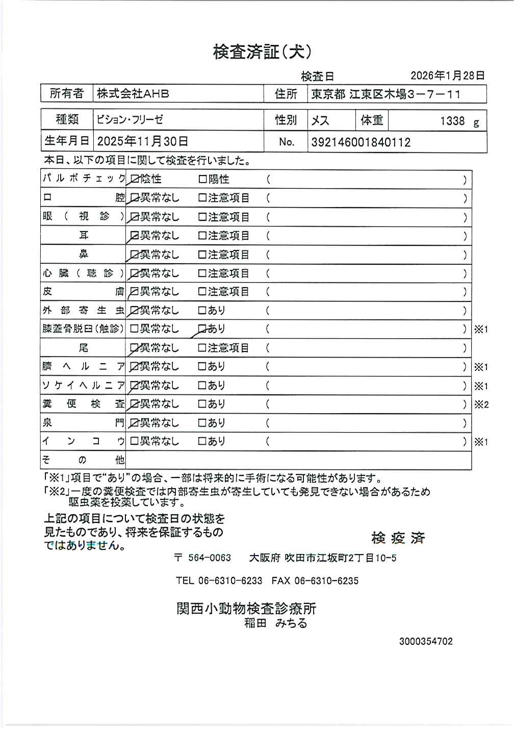 ビション・フリーゼ