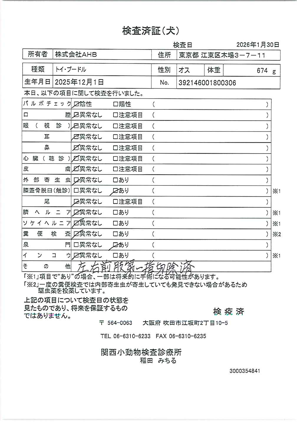 トイ・プードル