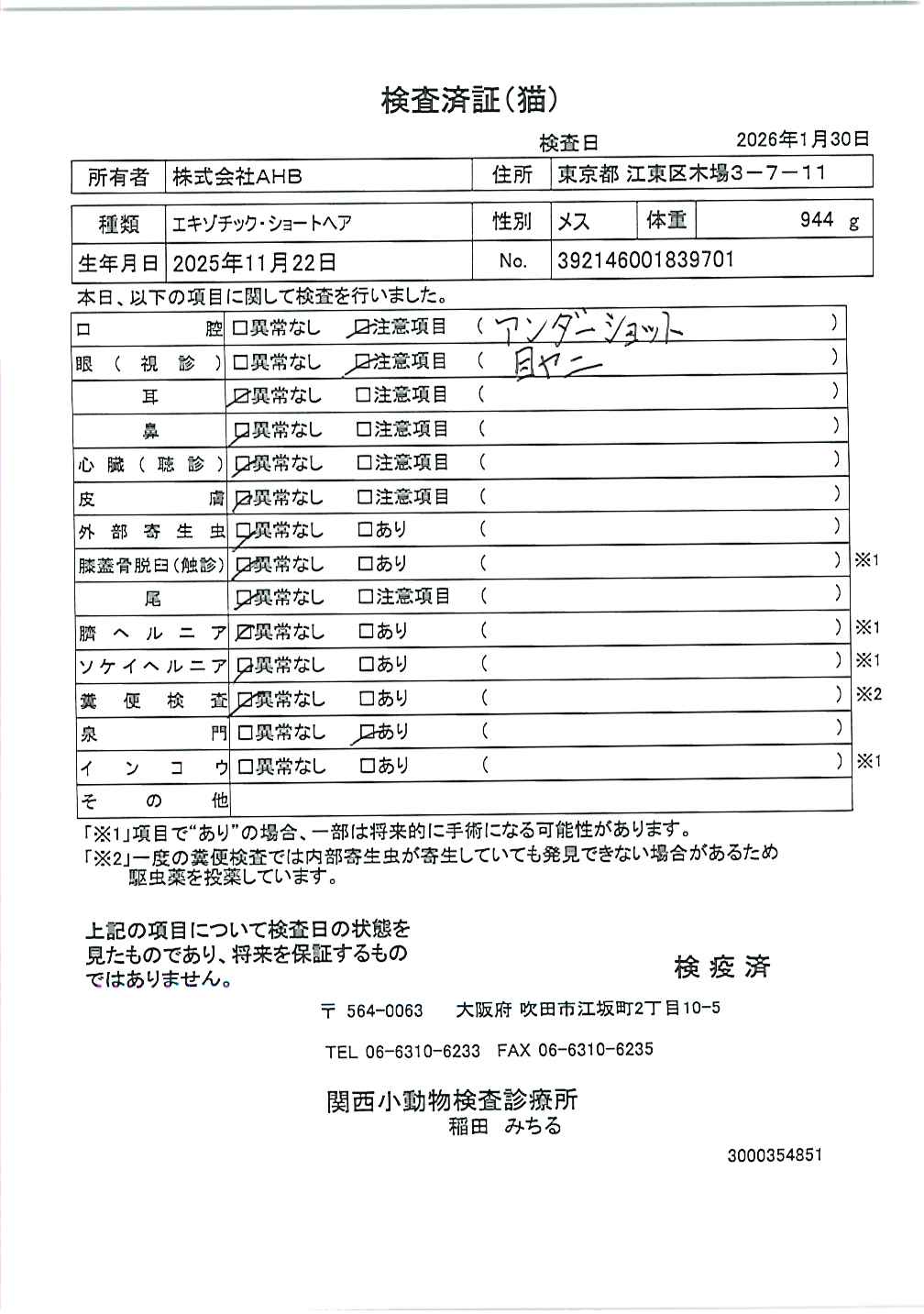 エキゾチック・ショートヘア
