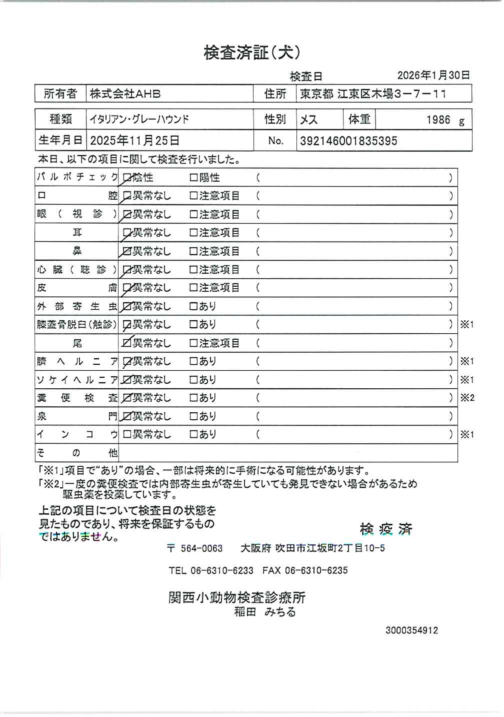 イタリアン・グレーハウンド