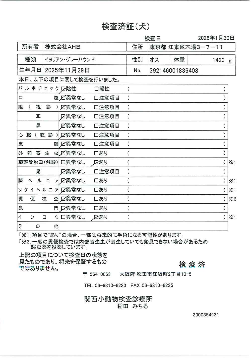 イタリアン・グレーハウンド