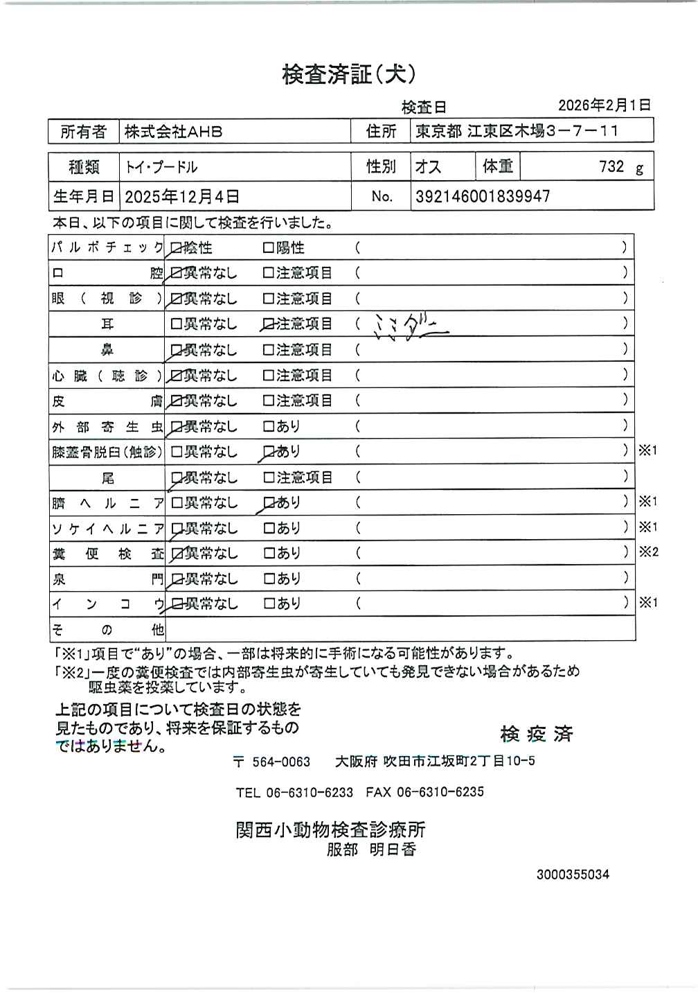 トイ・プードル