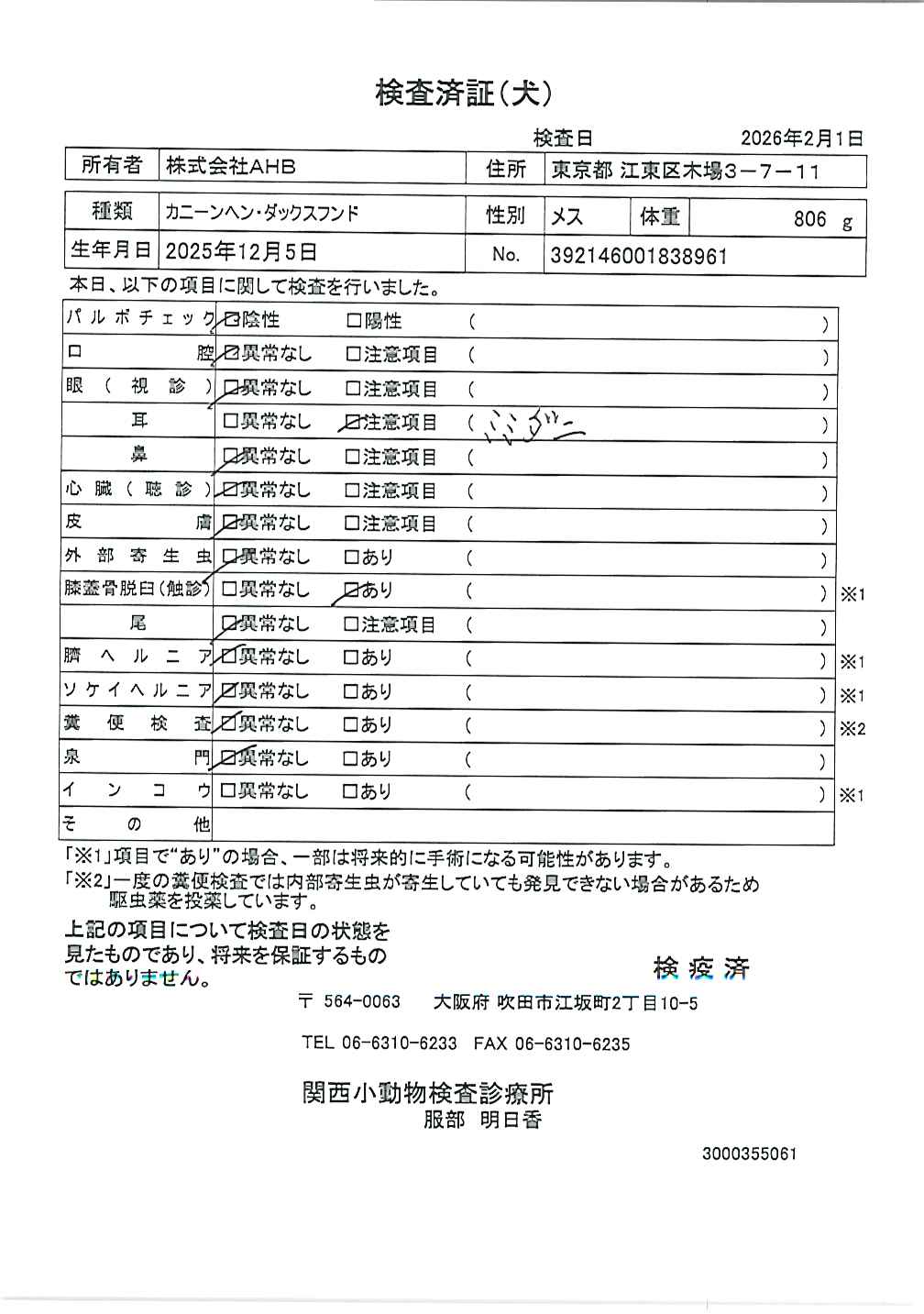 カニーンヘン・ダックスフンド