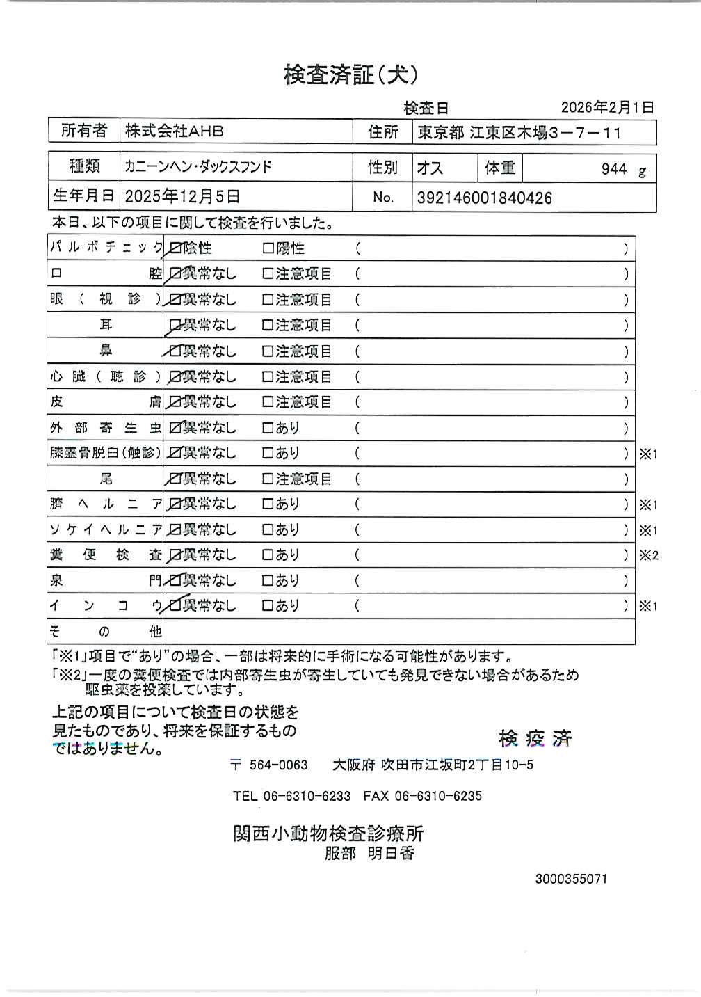 カニーンヘン・ダックスフンド