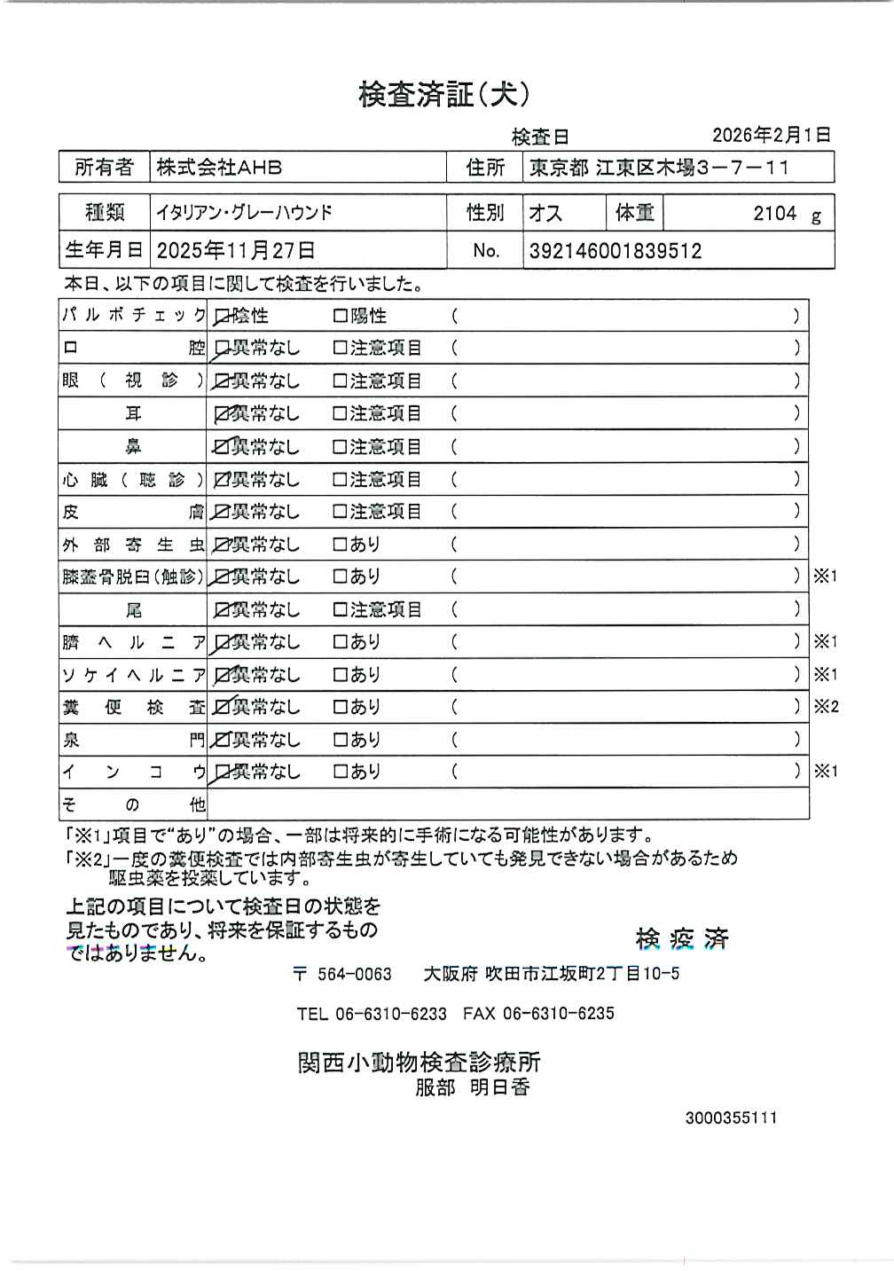 イタリアン・グレーハウンド