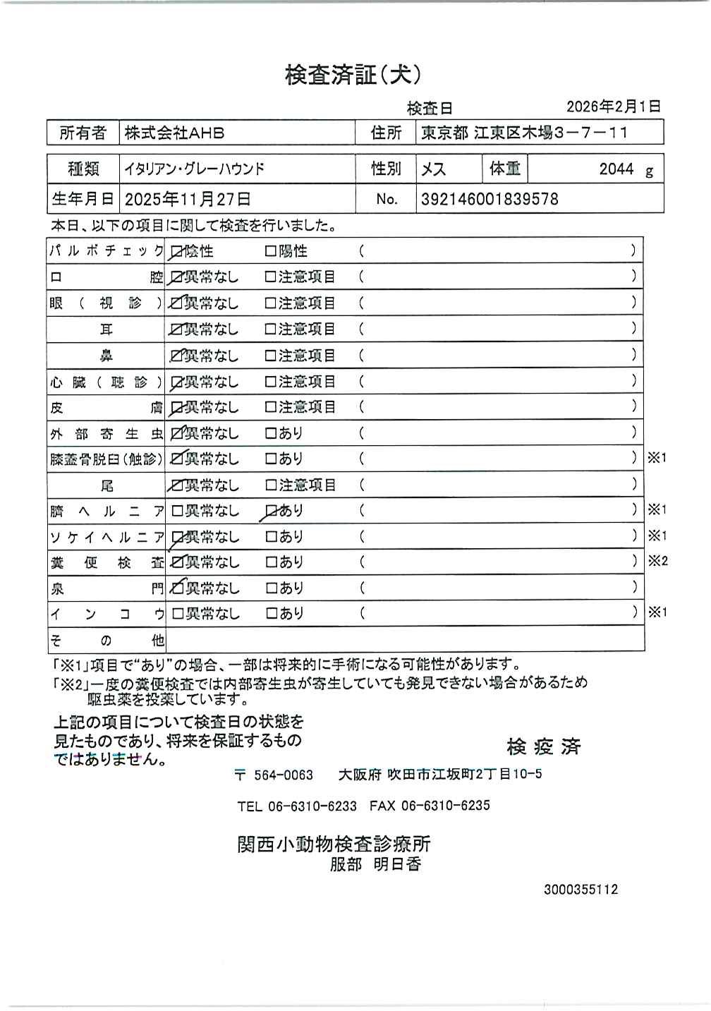 イタリアン・グレーハウンド