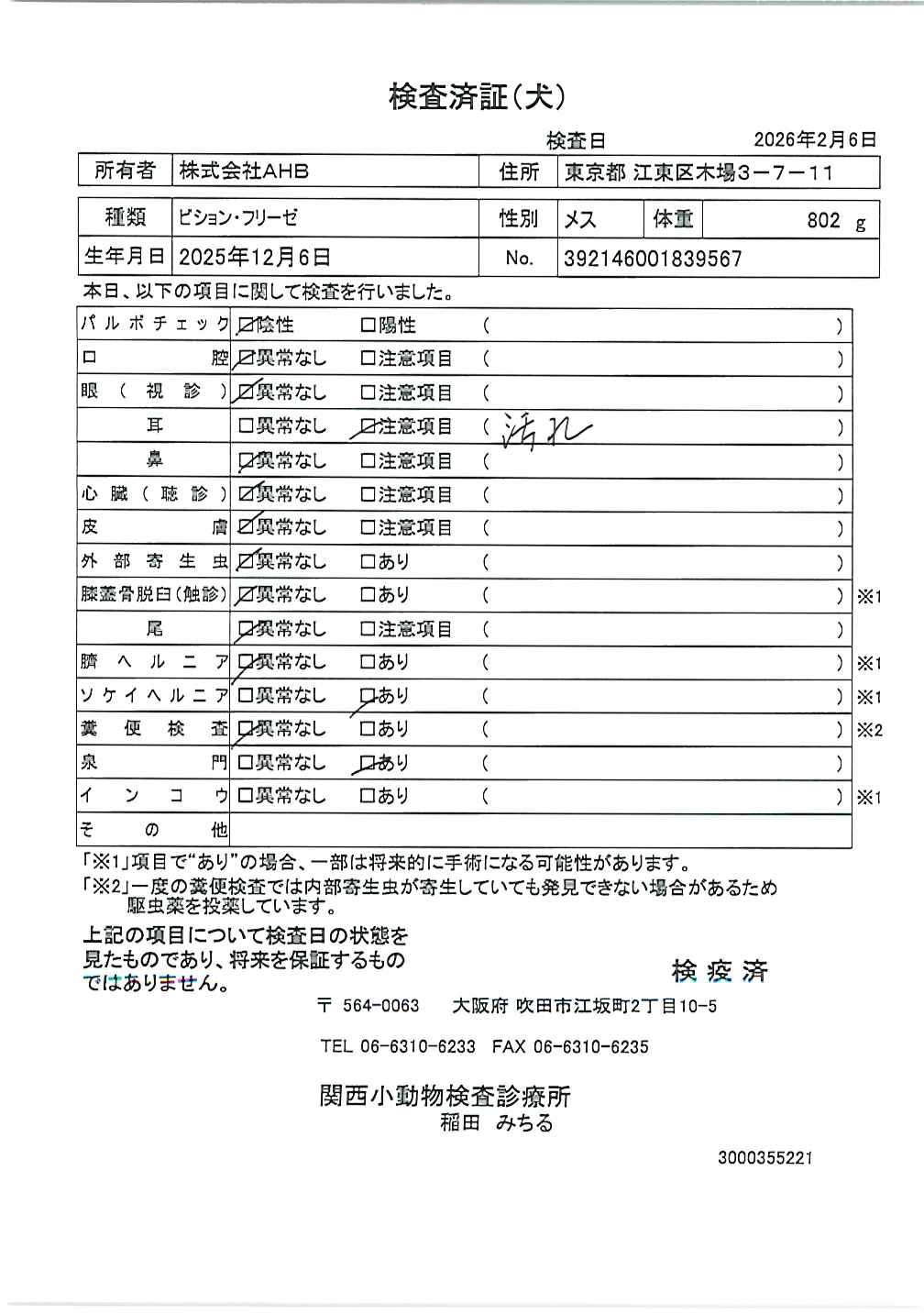 ビション・フリーゼ