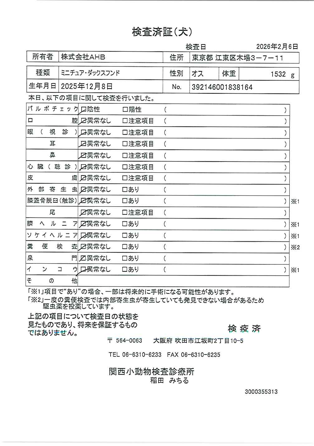 ミニチュア・ダックスフンド