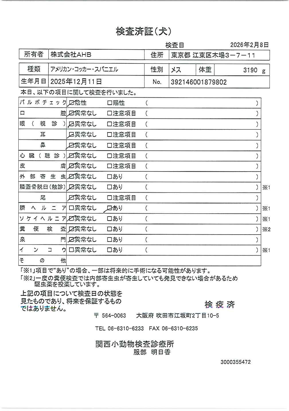 アメリカン・コッカー・スパニエル